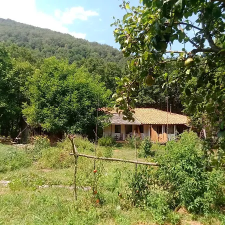 Charming In The Heart Of The Ribera Sacra *